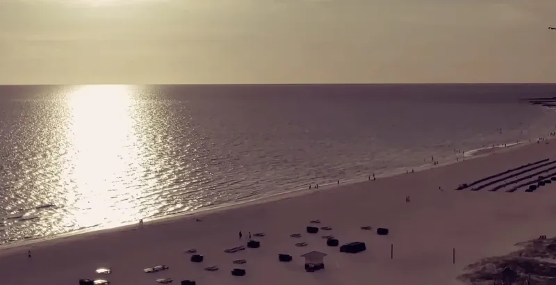 The First Music Video for Artificial Philosophy